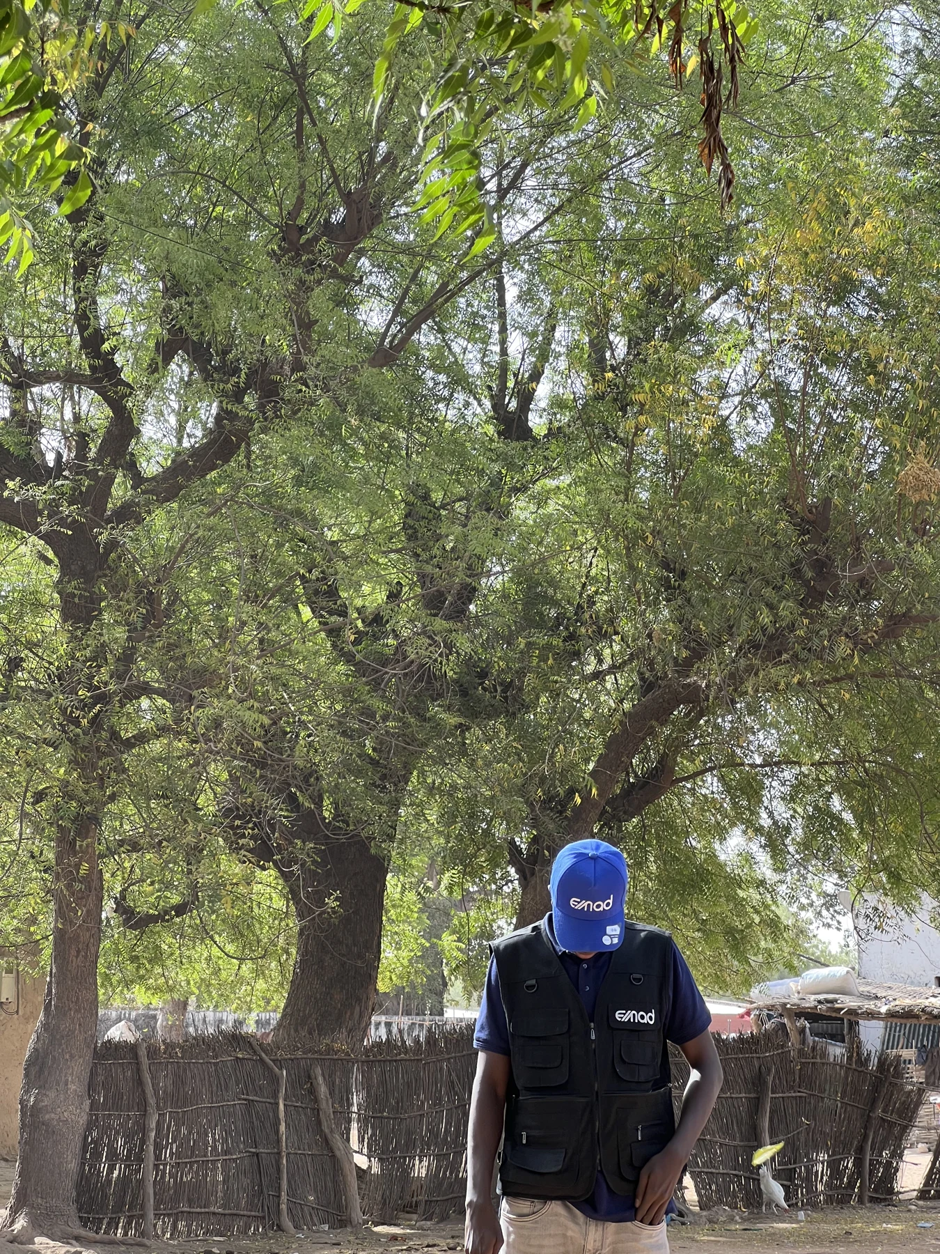 Vie de l’agence EMAD — photo 1